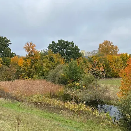 Saunahaeuschen Schmilau