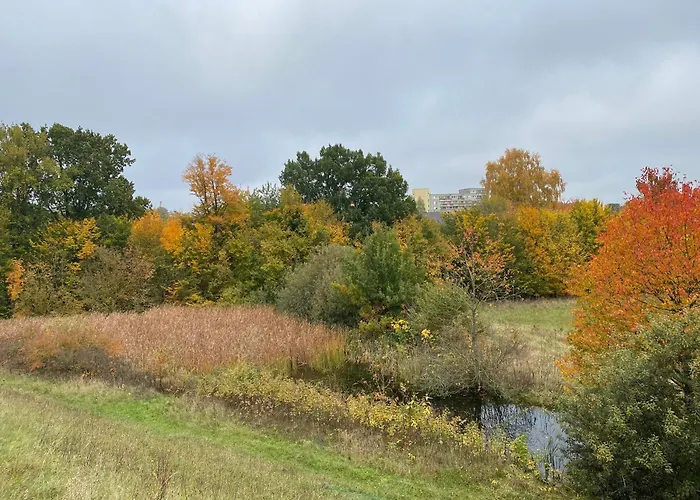 Saunahaeuschen Schmilau